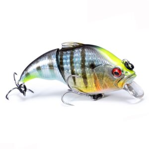 Shallow Diving Crankbait 1