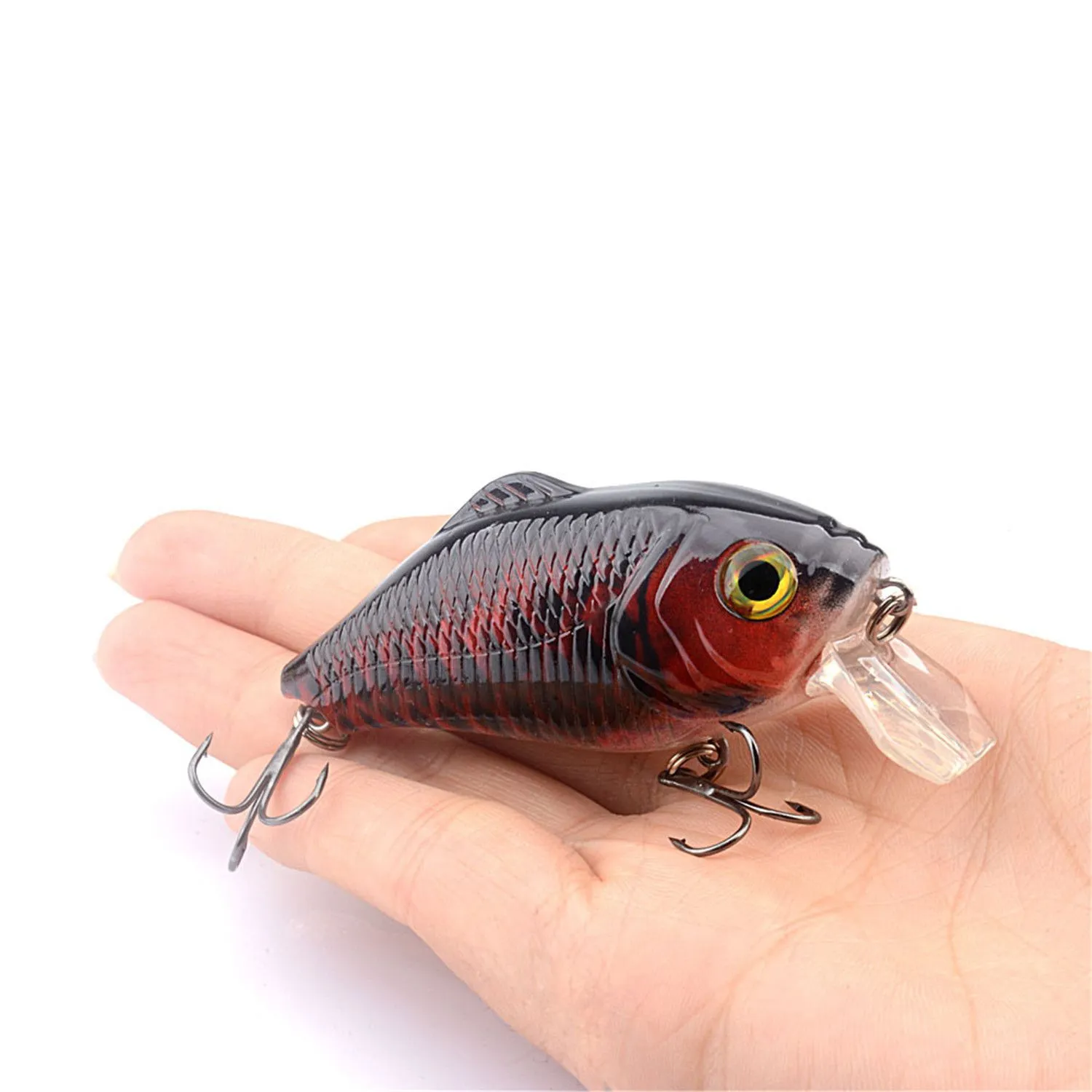 shallow crankbaits for bass (3)