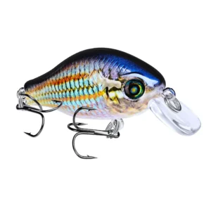 shallow water crankbaits (1)